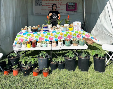 Plant sale fundraiser at Chatsworth